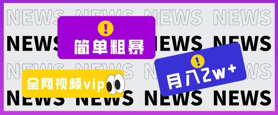 简单粗暴零成本，高回报，全网视频VIP掘金项目，月入2万＋【揭秘】-天韵资源网