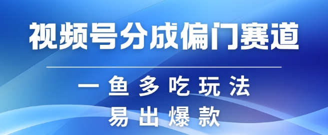 视频号创作者分成计划偏门类目，容易爆流，实拍内容简单易做【揭秘】-天韵资源网