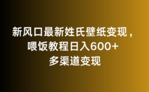 新风口最新姓氏壁纸变现，喂饭教程日入600+【揭秘】-天韵资源网
