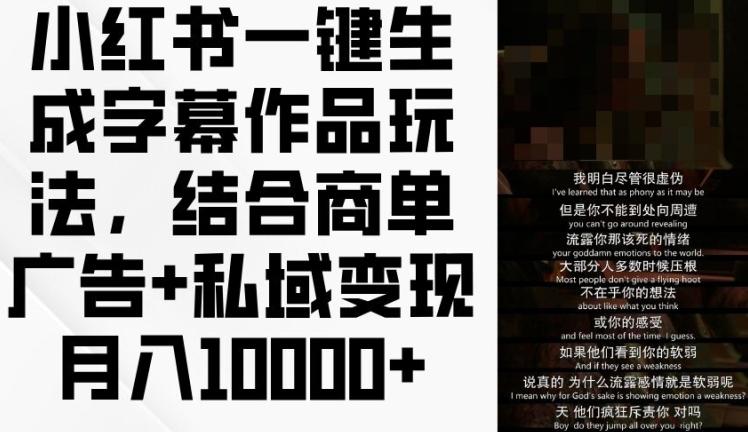 小红书一键生成字幕作品玩法，结合商单广告+私域变现月入1w+【揭秘】-天韵资源网