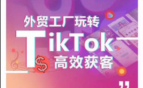 外贸工厂玩转TikTok高效获客，多种引流方式与账号定位技巧，拆解爆款短视频打造成功案例-天韵资源网