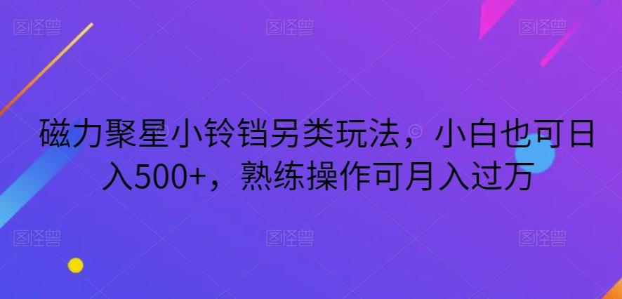 磁力聚星小铃铛另类玩法，小白也可日入500+，熟练操作可月入过万-天韵资源网