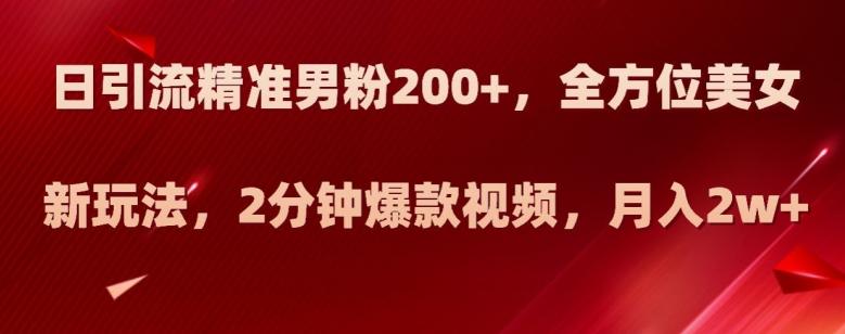 日引流精准男粉200+，全方位美女新玩法，2分钟爆款视频，月入2w+【揭秘】-天韵资源网