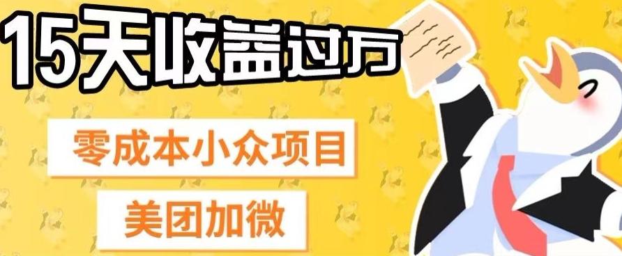 零成本小众项目，美团加微，一单4.5+，15天已经有人赚上万收益-天韵资源网