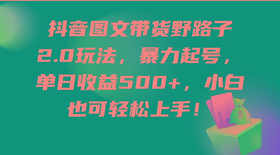 (9790期)抖音图文带货野路子2.0玩法，暴力起号，单日收益500+，小白也可轻松上手！-天韵资源网