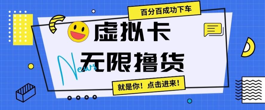 虚拟卡无限撸货，百分百成功下车【仅揭秘】-天韵资源网