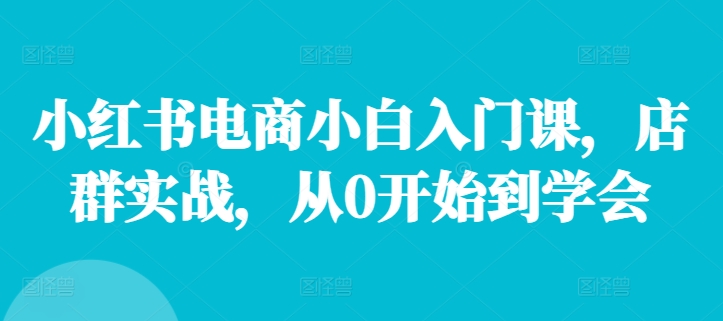 小红书电商小白入门课，店群实战，从0开始到学会-天韵资源网