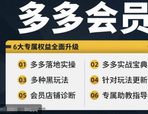 拼多多会员，拼多多实战宝典+实战落地实操，从新手到高阶内容全面覆盖-天韵资源网