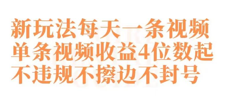 快手新玩法每天一条视频单条视频收益4位数起不违规不擦边不封号【揭秘】-天韵资源网