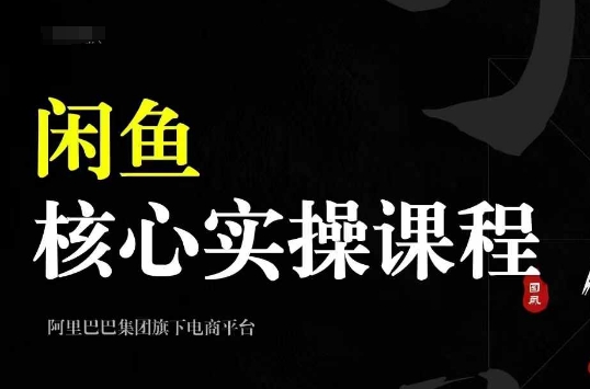 2024闲鱼核心实操课程，从养号、选品、发布、销售，教你做一个出单的闲鱼号-天韵资源网