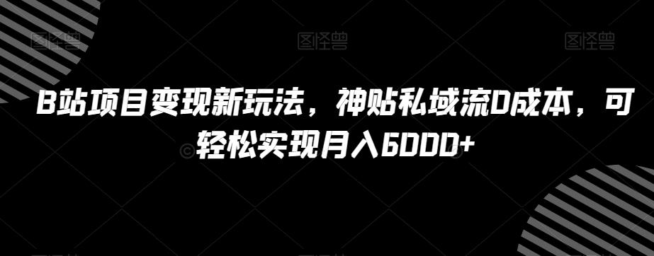 B站项目变现新玩法，神贴私域流0成本，可轻松实现月入6000+【揭秘】-天韵资源网
