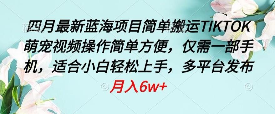 四月最新蓝海项目，简单搬运TIKTOK萌宠视频，操作简单方便，仅需一部手机【揭秘】-天韵资源网