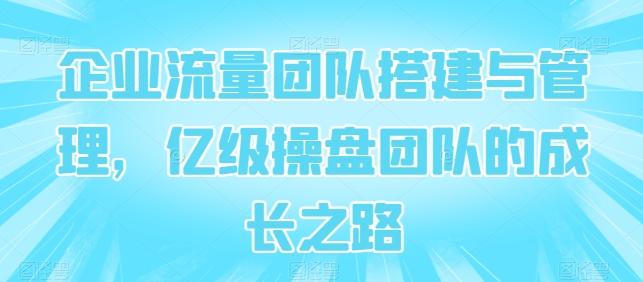 企业流量团队搭建与管理，亿级操盘团队的成长之路-天韵资源网