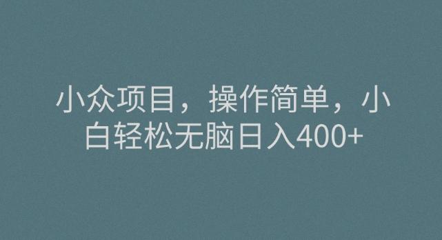 小众项目，操作简单，小白轻松无脑日入400+-天韵资源网