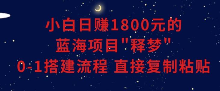小白能日赚1800元的蓝海项目”释梦”0-1搭建流程可直接复制粘贴长期做【揭秘】-天韵资源网