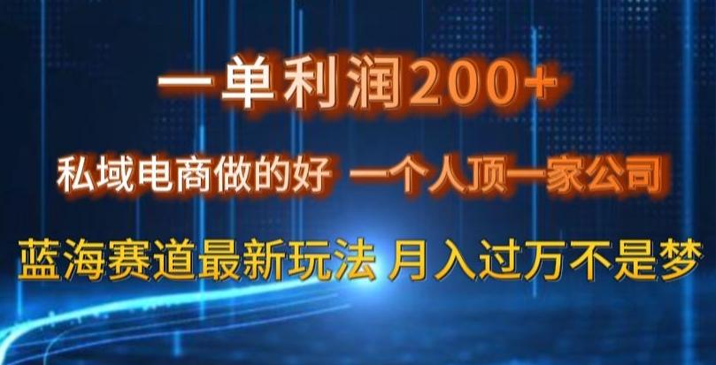 一单利润200私域电商做的好，一个人顶一家公司蓝海赛道最新玩法【揭秘】-天韵资源网