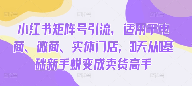 小红书矩阵号引流，适用于电商、微商、实体门店，30天从0基础新手蜕变成卖货高手-天韵资源网
