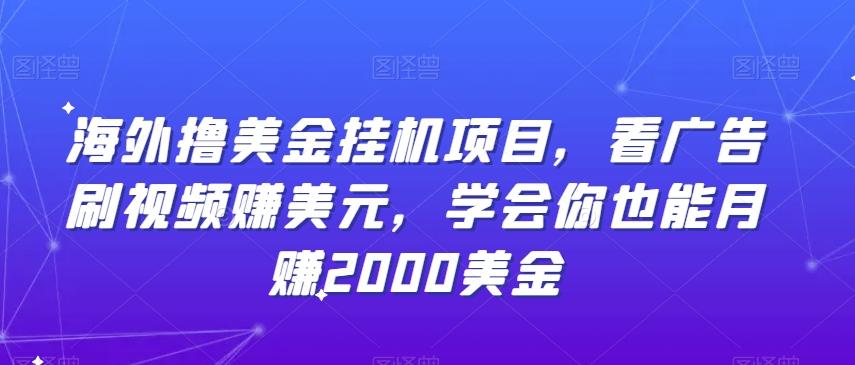 海外撸美金挂机项目，看广告刷视频赚美元，学会你也能月赚2000美金-天韵资源网