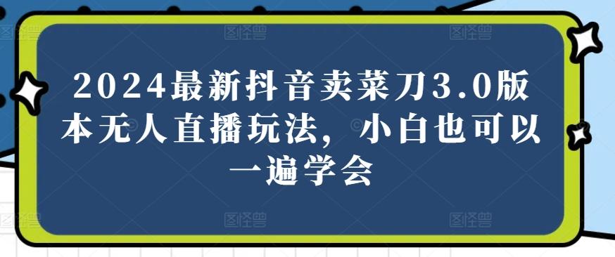 2024最新抖音卖菜刀3.0版本无人直播玩法，小白也可以一遍学会【揭秘】-天韵资源网