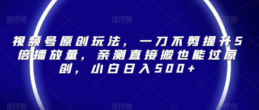 视频号原创玩法，一刀不剪提升5倍播放量，亲测直接搬也能过原创，小白日入500+【揭秘】-天韵资源网