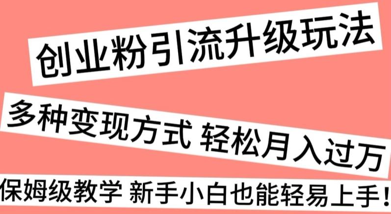 创业粉引流升级玩法，多种变现方式轻松月入过万，保姆级教学新手小白也能轻易上手！-天韵资源网