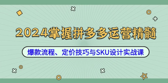 2024掌握拼多多运营精髓：爆款流程、定价技巧与SKU设计实战课-天韵资源网
