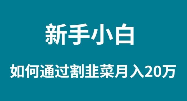 (9308期)新手小白如何通过割韭菜月入 20W-天韵资源网