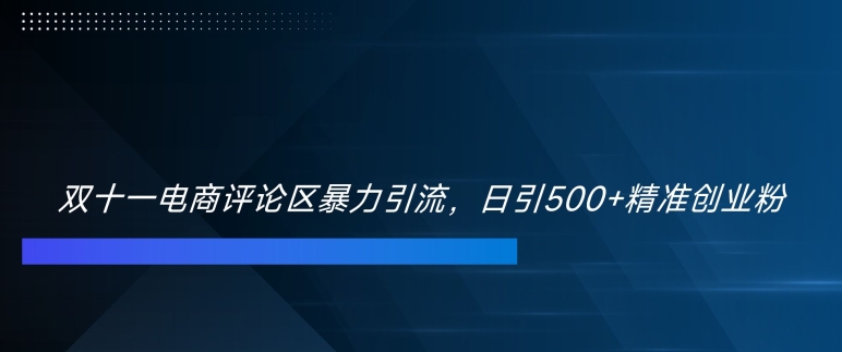 双十一电商评论区暴力引流，日引500+精准创业粉【揭秘】-天韵资源网