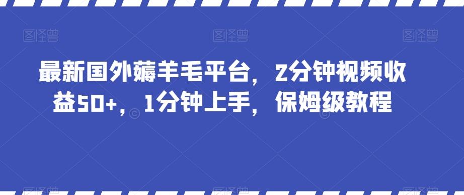 最新国外薅羊毛平台，2分钟视频收益50+，1分钟上手，保姆级教程【揭秘】-天韵资源网