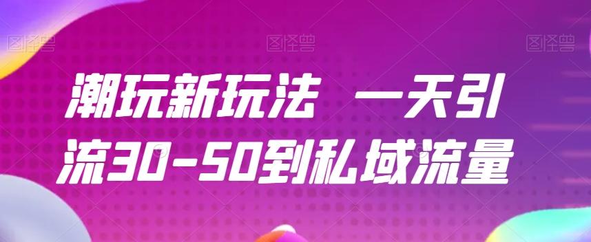 潮玩新玩法一天引流30-50到私域流量-天韵资源网
