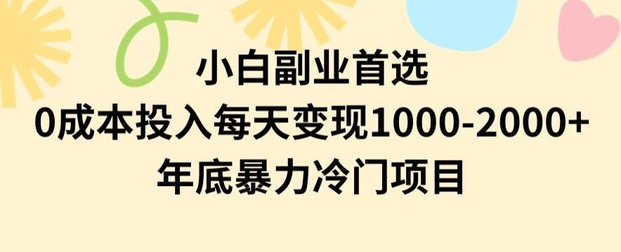 小白副业首选，0成本投入，每天变现1000-2000年底暴力冷门项目【揭秘】-天韵资源网