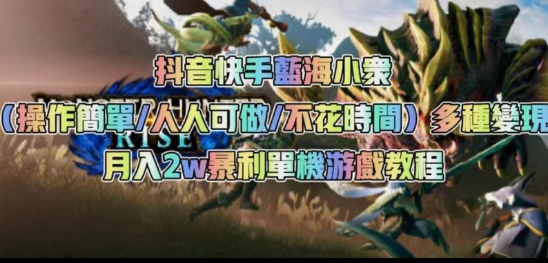 抖音快手蓝海小众（操作简单人人可做不花时间）多种变现月入2w＋暴利单机游戏教程-天韵资源网