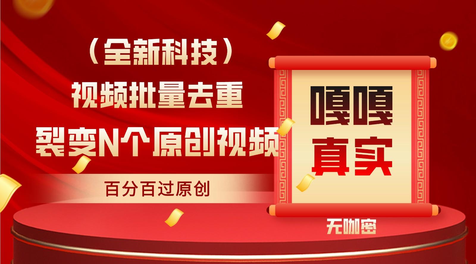最新全自动去重技术，批量操作百分百过原创-天韵资源网
