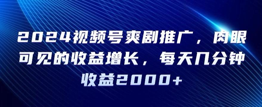 2024视频号爽剧推广，肉眼可见的收益增长，每天几分钟收益2000+【揭秘】-天韵资源网