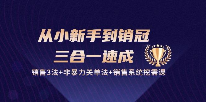 从小新手到销冠 三合一速成：销售3法+非暴力关单法+销售系统挖需课 (27节-天韵资源网