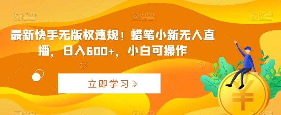 最新快手无版权违规！蜡笔小新无人直播，日入600+，小白可操作【揭秘】-天韵资源网