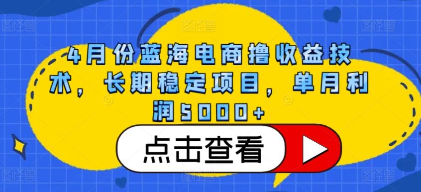 4月份蓝海电商撸收益技术，长期稳定项目，单月利润5000+【揭秘】-天韵资源网