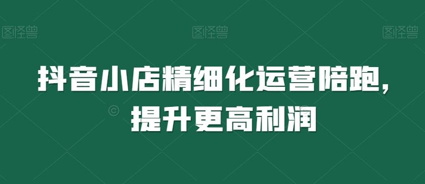 抖音小店精细化运营陪跑，提升更高利润-天韵资源网