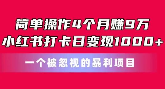 简单操作4个月赚9w，小红书打卡日变现1k，一个被忽视的暴力项目【揭秘】-天韵资源网