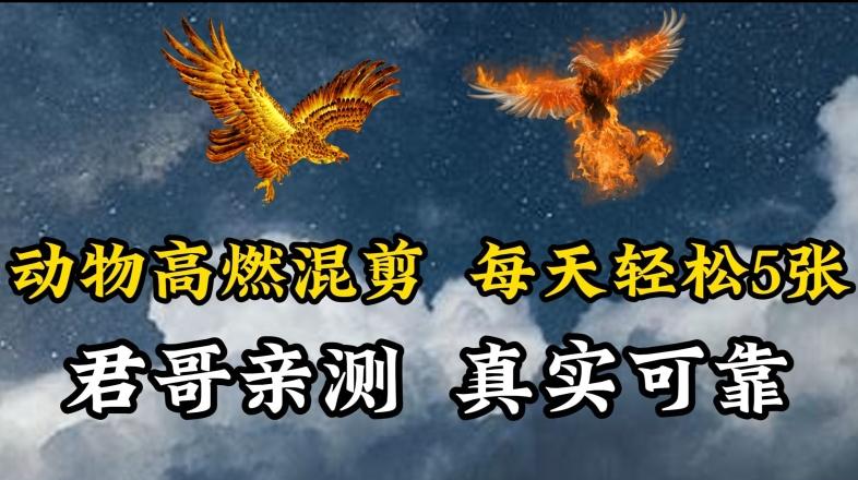 动物超燃混剪，每天轻松5张，剪辑简单大家爱看【揭秘】-天韵资源网