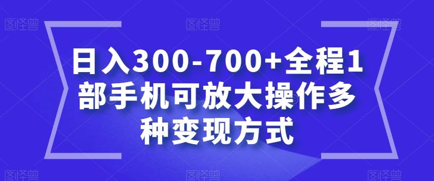 日入300-700+全程1部手机可放大操作多种变现方式【揭秘】-天韵资源网