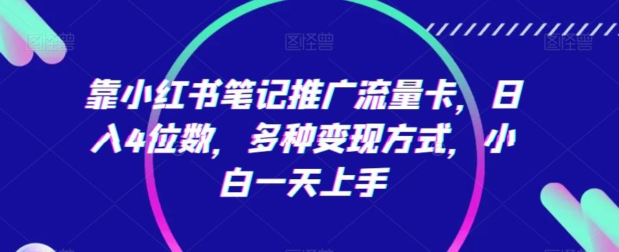 靠小红书笔记推广流量卡，日入4位数，多种变现方式，小白一天上手-天韵资源网