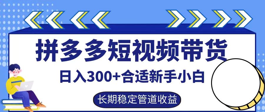 拼多多短视频带货日入300+，实操账户展示看就能学会-天韵资源网