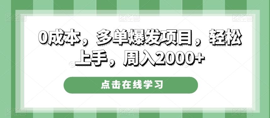 0成本，多单爆发项目，轻松上手，周入2000+-天韵资源网