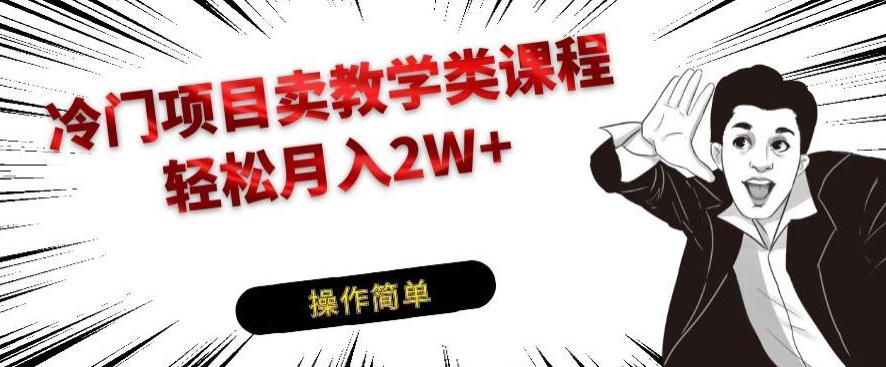 冷门项目卖教学类课程，轻松月入2W+-天韵资源网