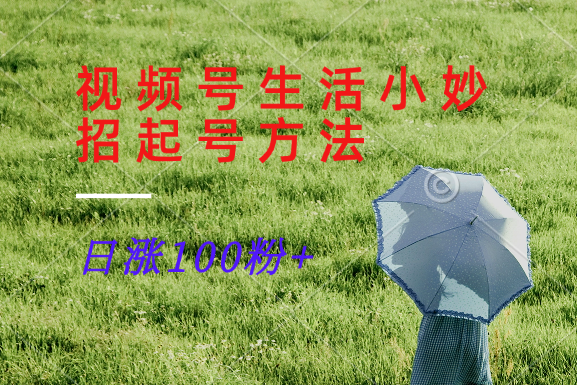 视频号生活小妙招分享赛道， 起号涨粉新方法，日涨100粉-天韵资源网