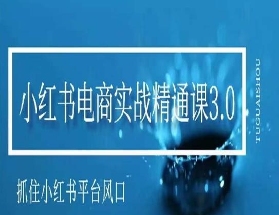 小红书电商实战精通课3.0，抓住小红书平台的风口，不错过有一个赚钱的机会-天韵资源网