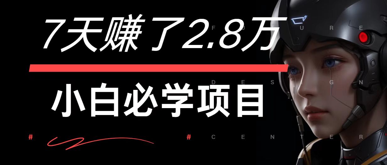 7天赚了2.8万！每单利润最少500+，轻松月入7万+小白有手就行-天韵资源网