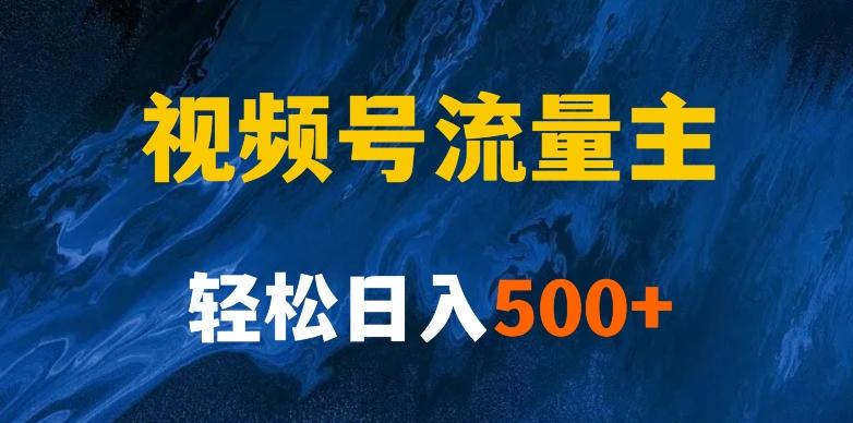 揭秘视频号创作者分成计划，带你玩赚视频号流量主！新手也能月入1w+-天韵资源网