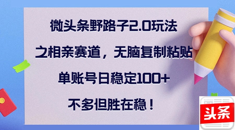 微头条野路子2.0玩法之相亲赛道，无脑复制粘贴，单账号日稳定100+，不…-天韵资源网